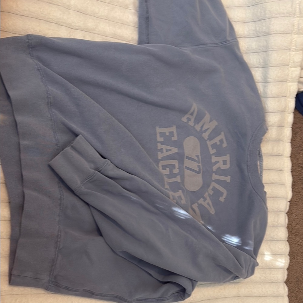 American Eagle Outfitters Blue Crew Neck Sweater